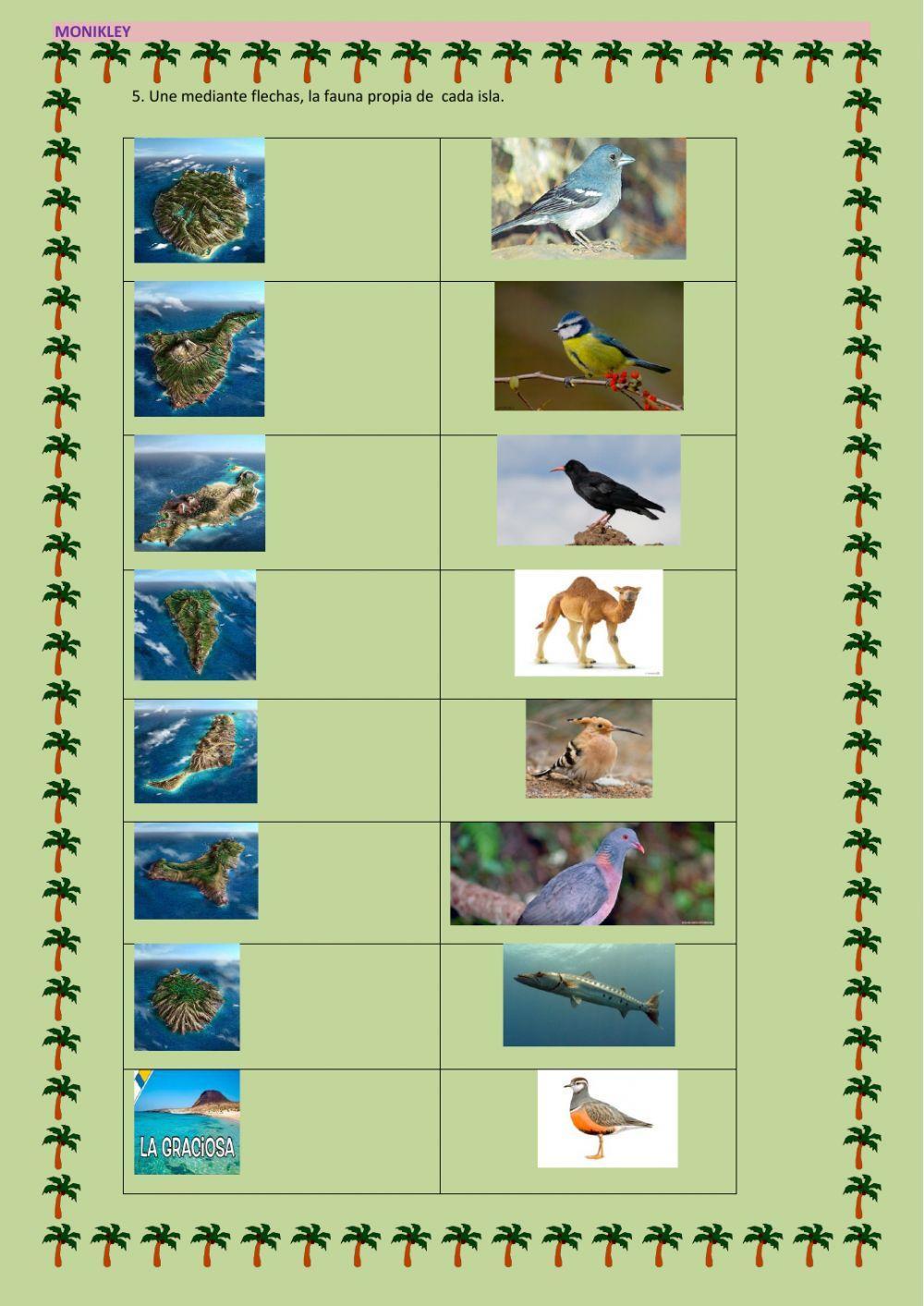 Música, flora y fauna de canarias Música, flora y fauna de canarias