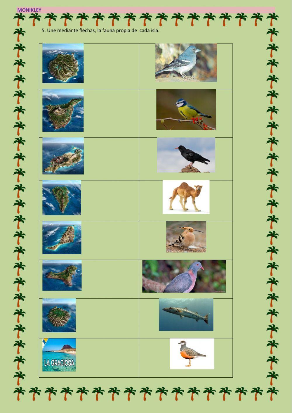 Música, flora y fauna de canarias