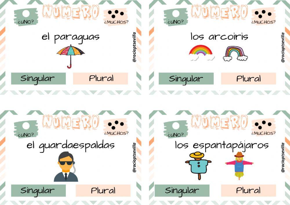 Número de los sustantivos Número de los sustantivos