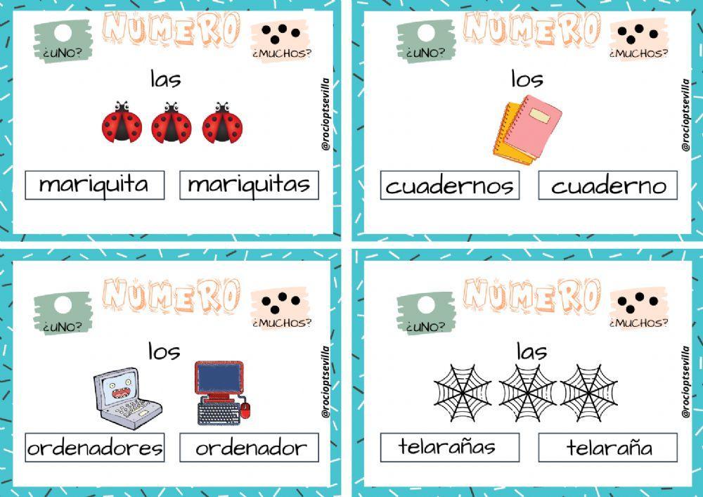 Número de los sustantivos Número de los sustantivos