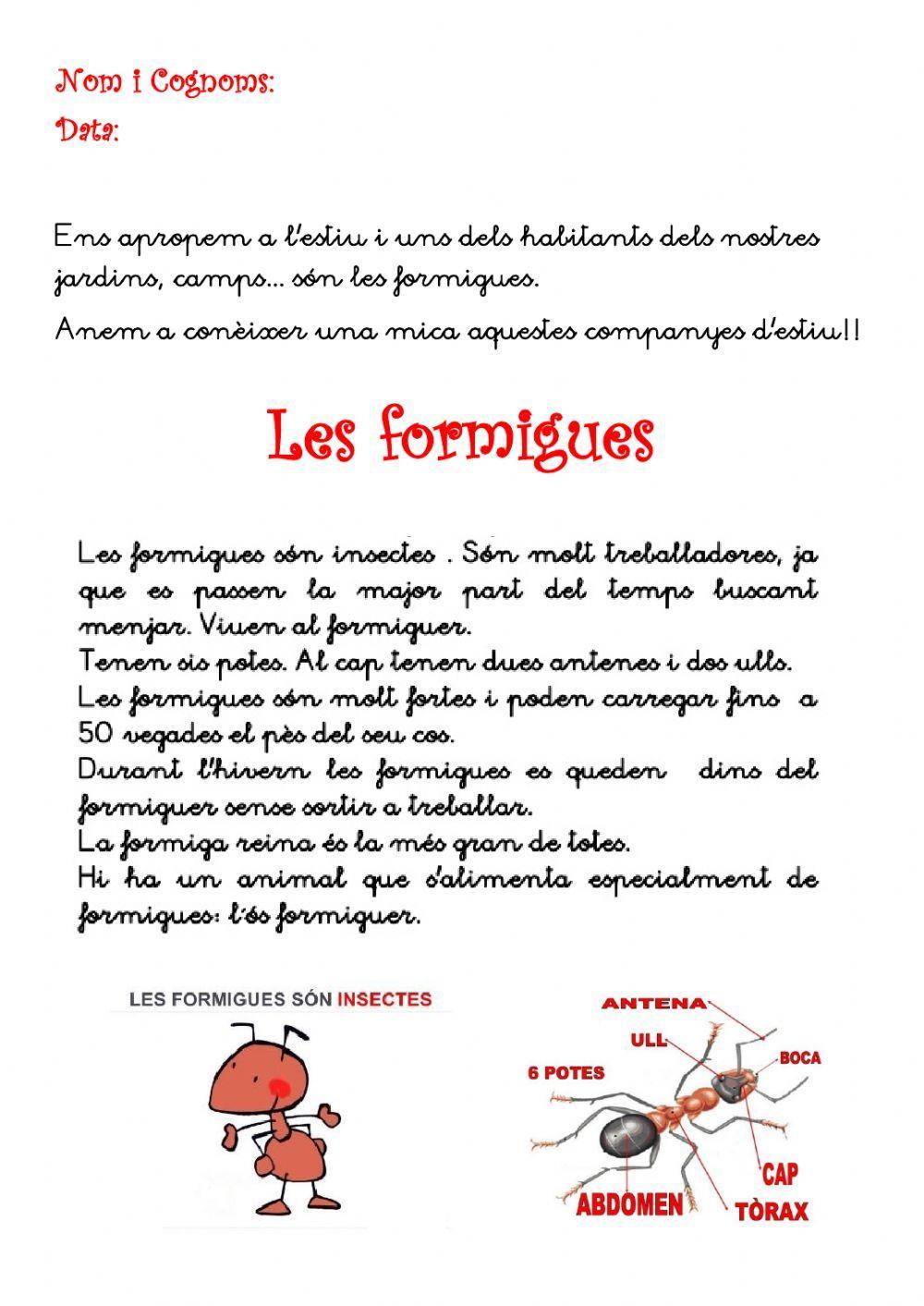 Les formigues