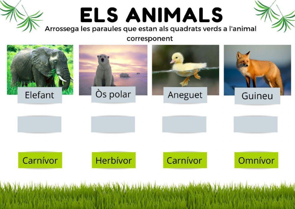 Alimentació dels Animals