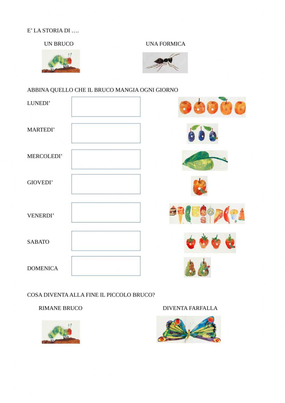 Il piccolo bruco mai sazio di E. Carle