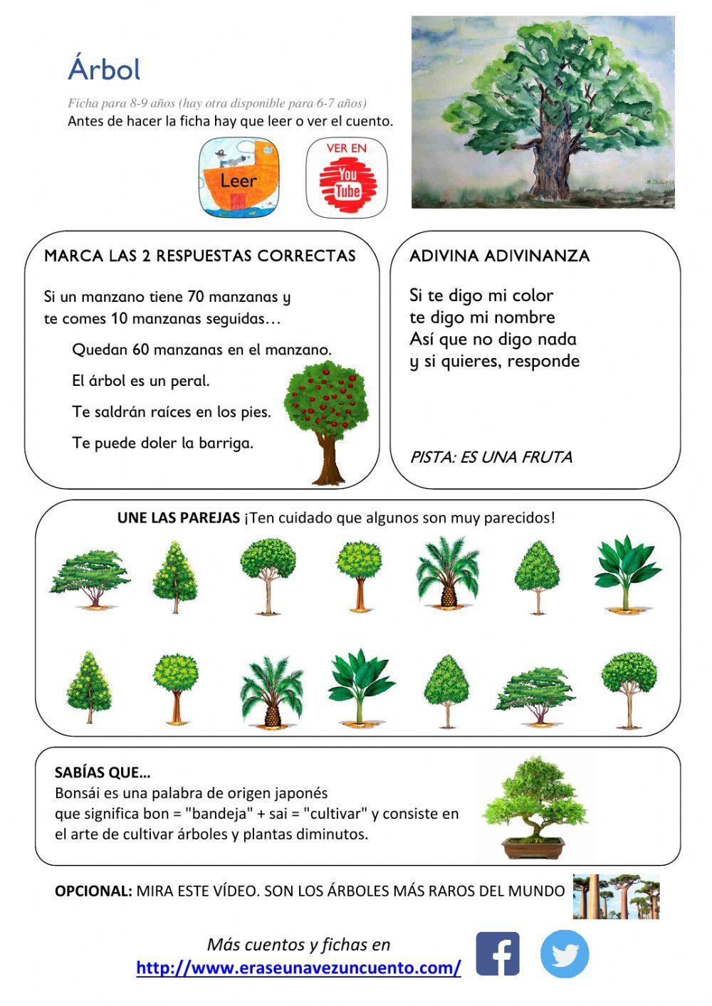 ÁRBOL 2 ÁRBOL 2