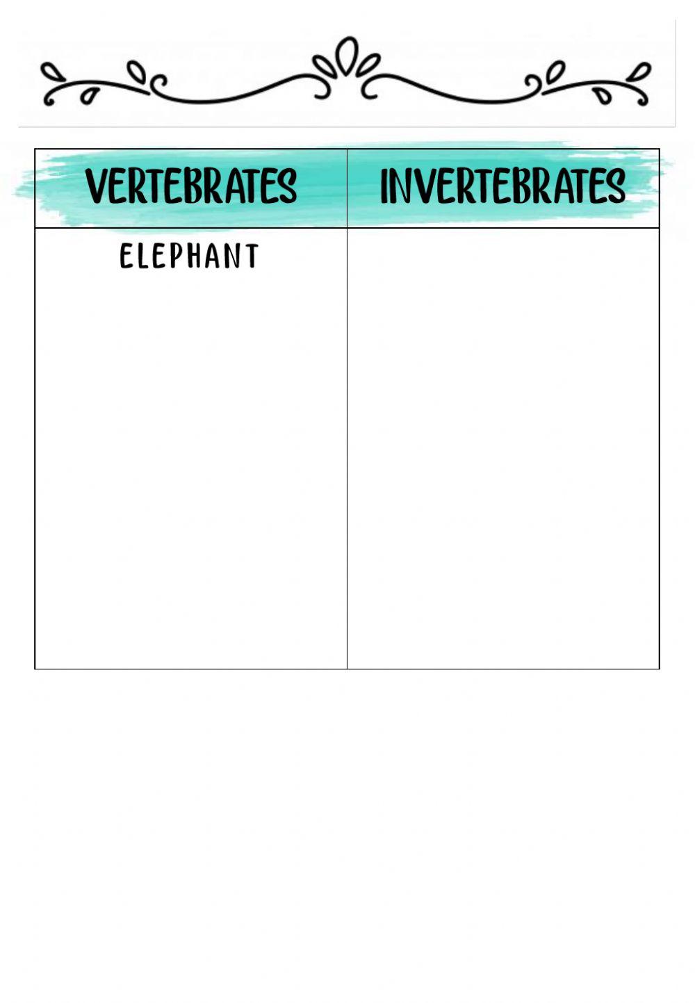 Vertebrates and Invertebrates