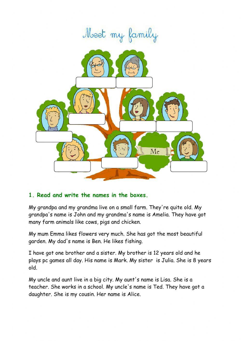 Family vocabulary and comprehension