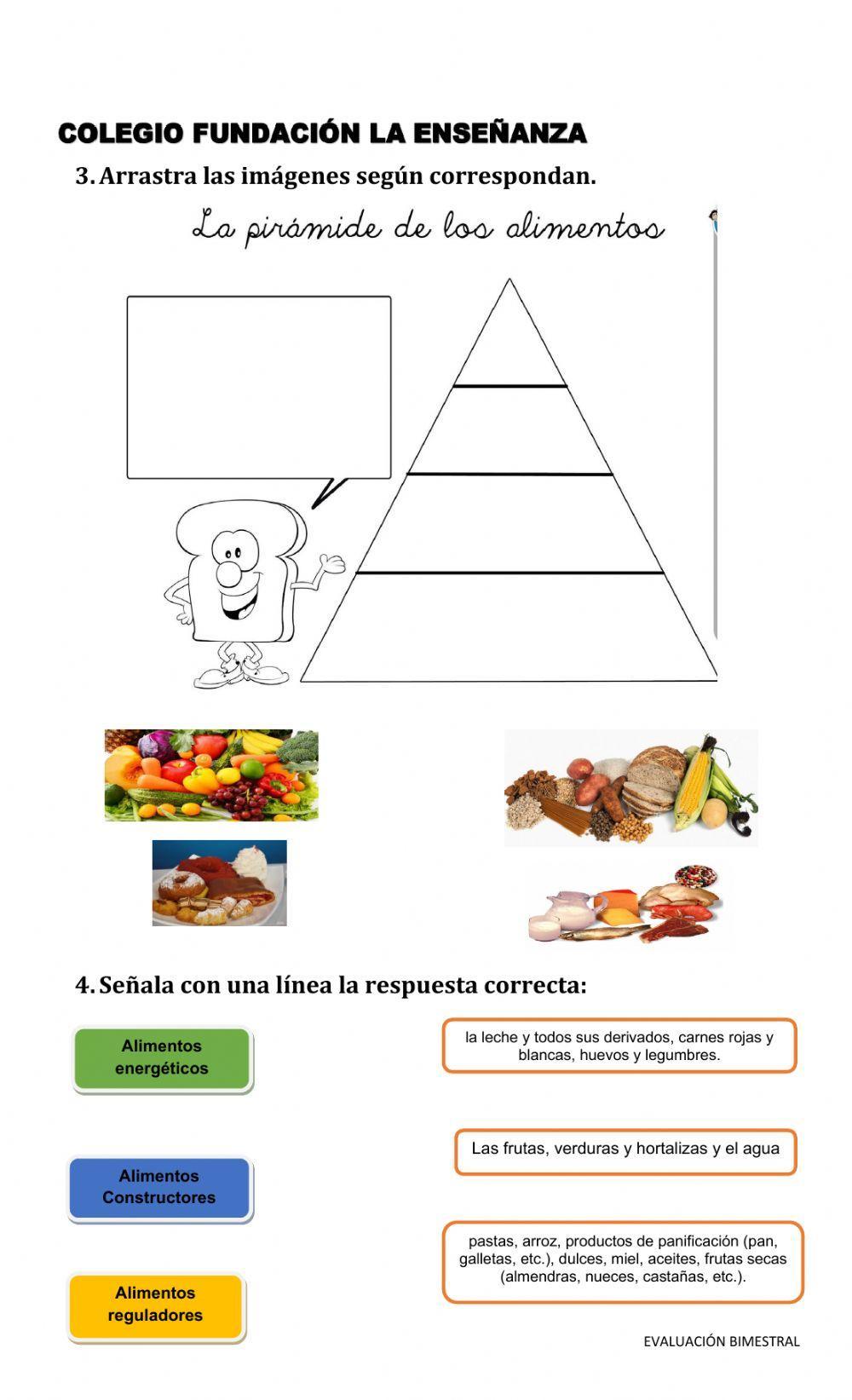 Quiz alimentos y digestión