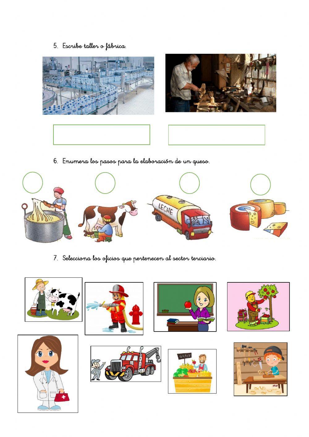 CCSS. Los sectores de trabajo. 