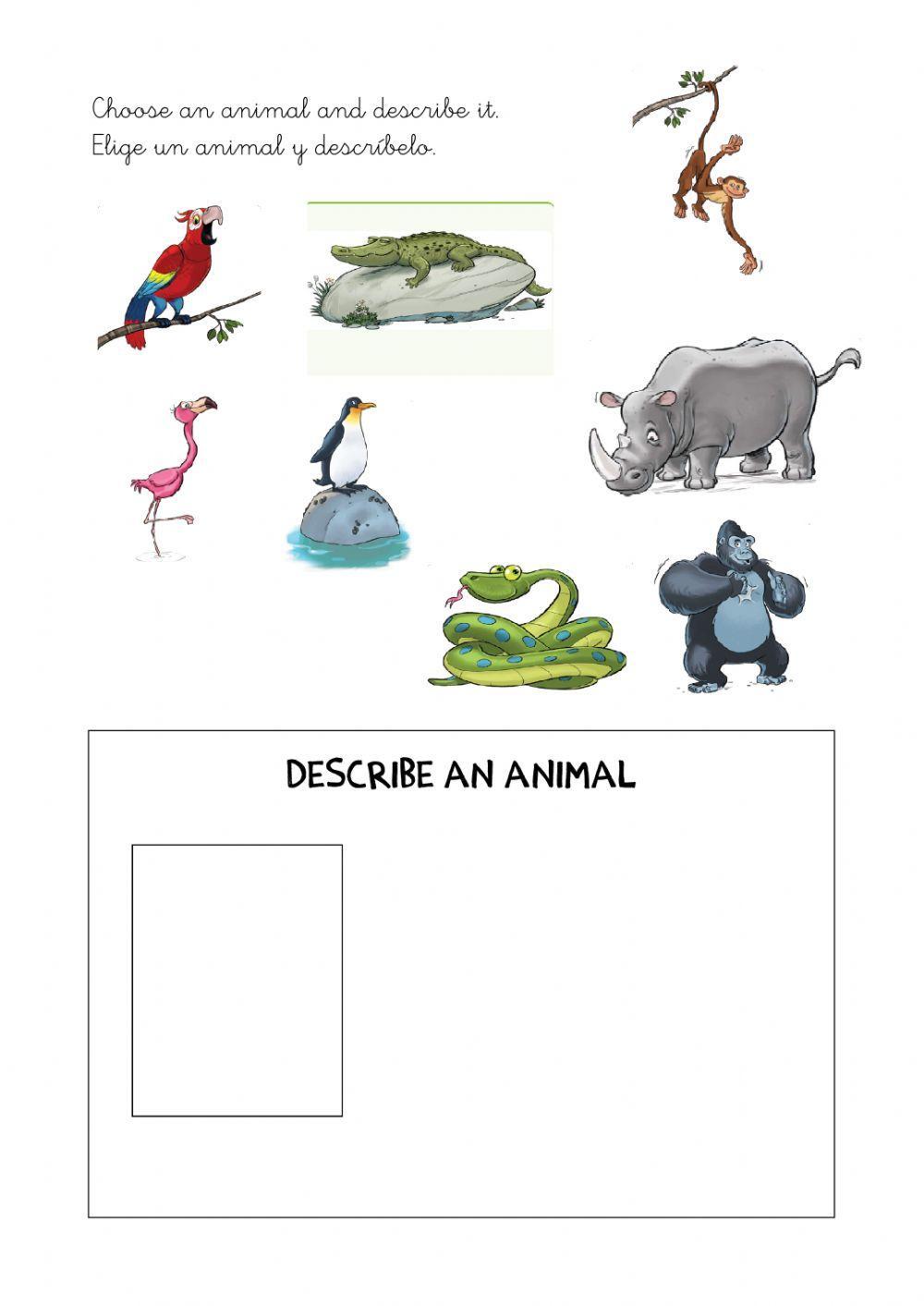 Reading and describe