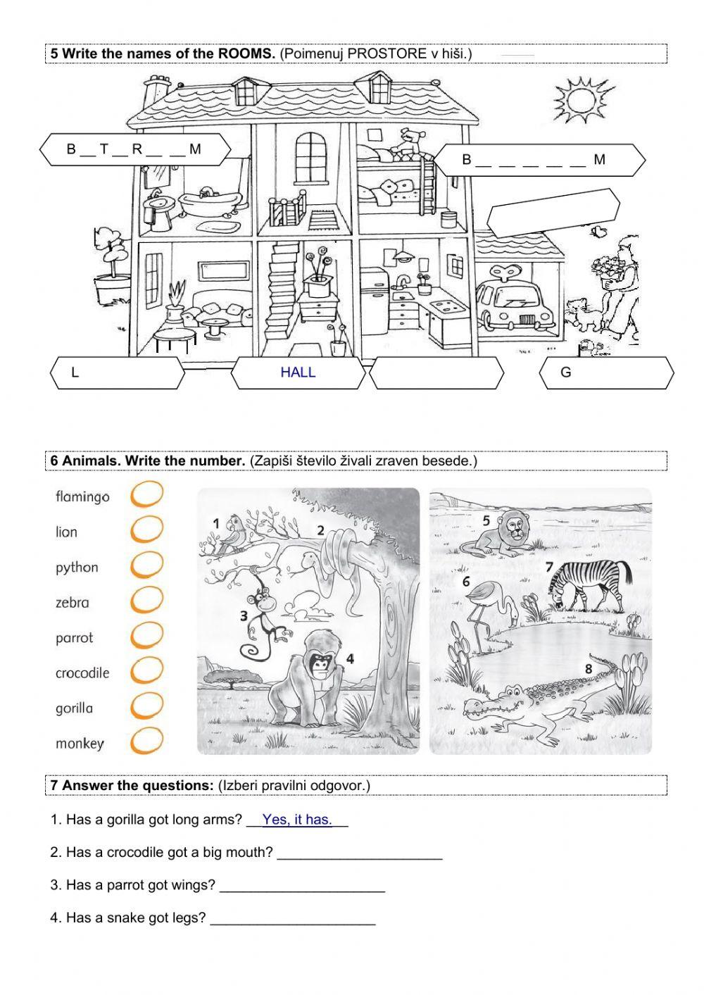 Preverjanje znanja - 4. razred