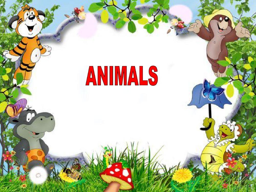 Animals