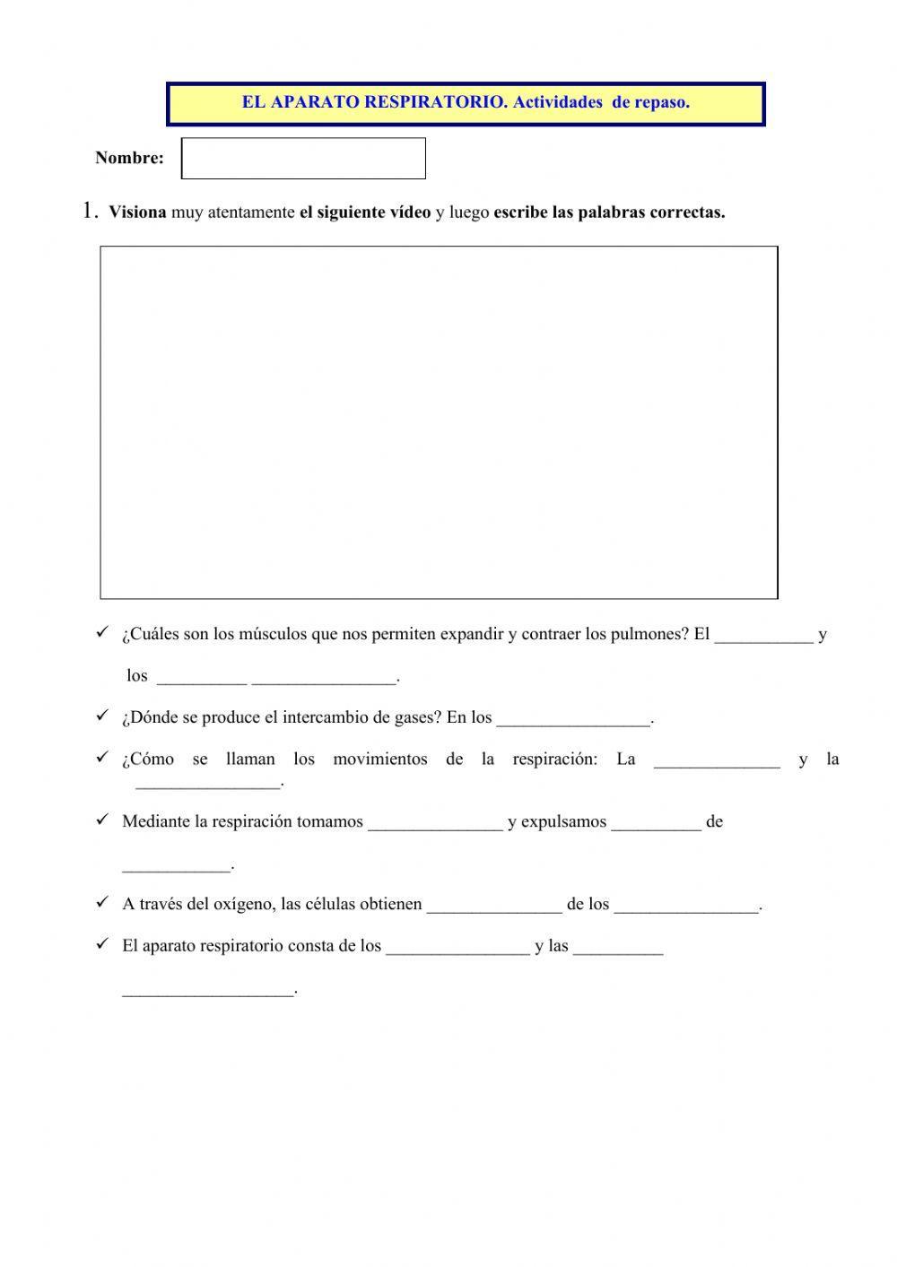 El aparato respiratorio