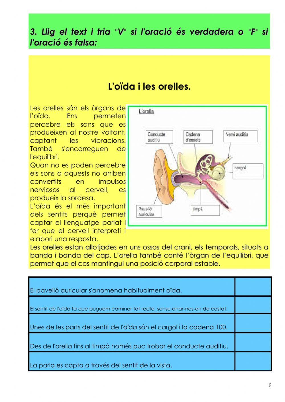 Comprensió Escrita Prova 1 PT3
