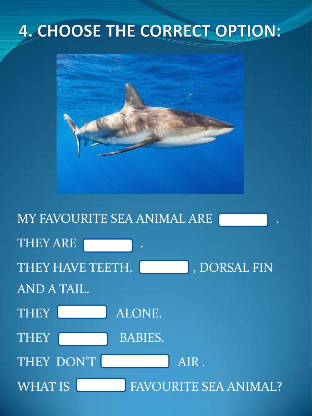Sea animals