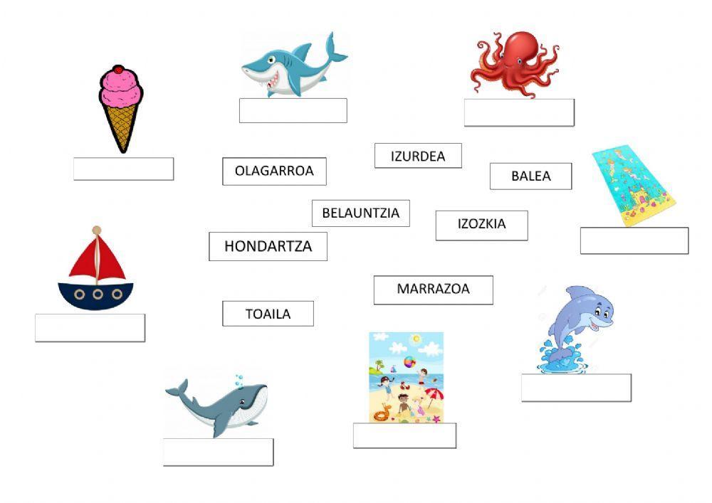 ITSASOA. LOTU IRUDIA-IZENA