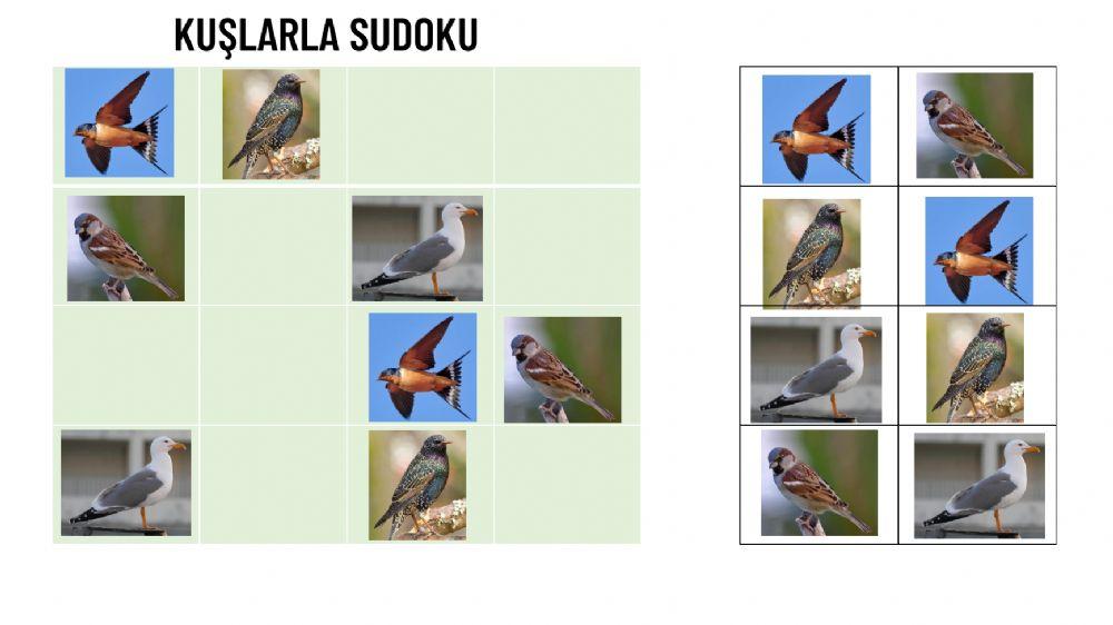 Kuşlarla Sudoku