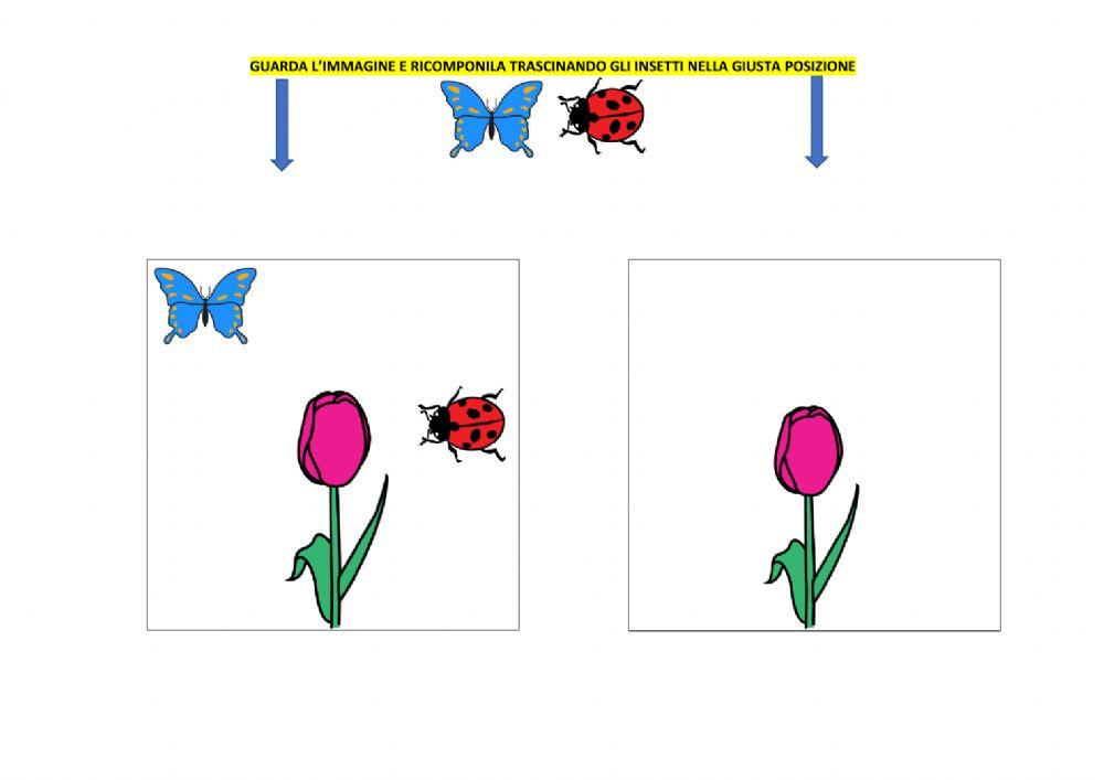 Attenzione visiva: colloca gli insetti sui fiori
