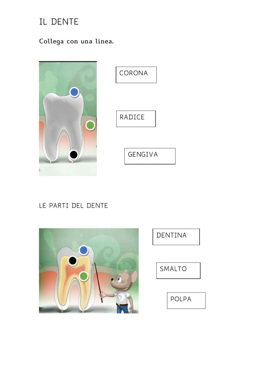 I denti I denti