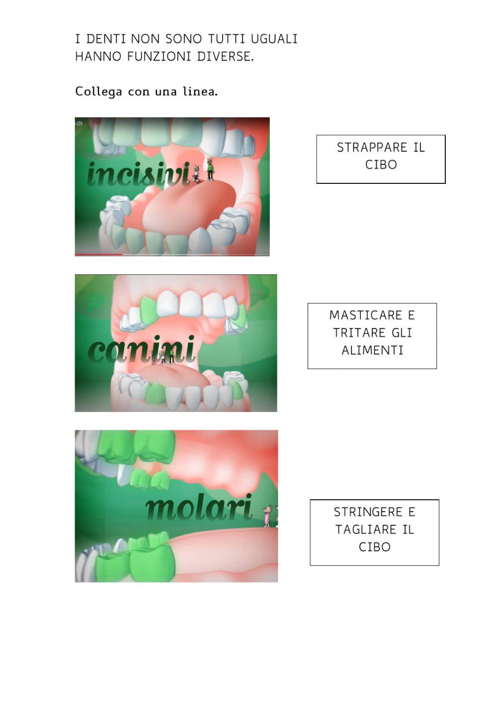 I denti I denti