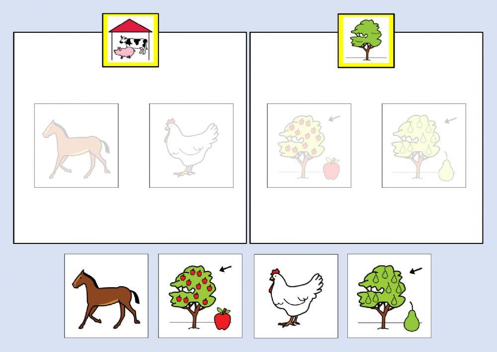 Classificare con aiuto visivo animali alberi