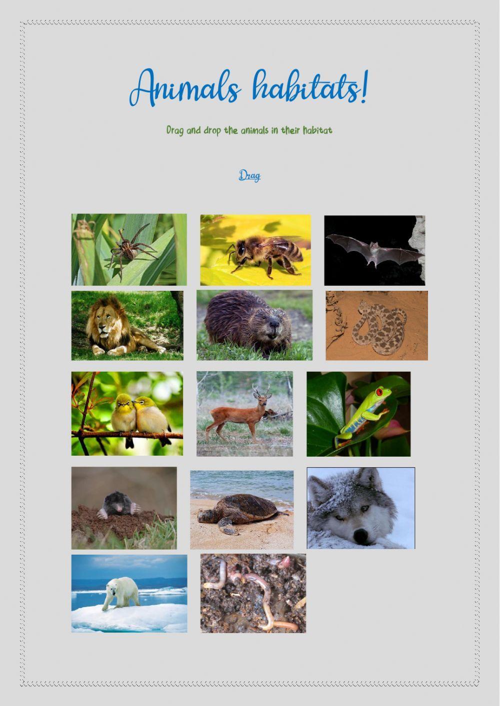 animals-and-their-habitats-zoology-printable-montessori-40-off