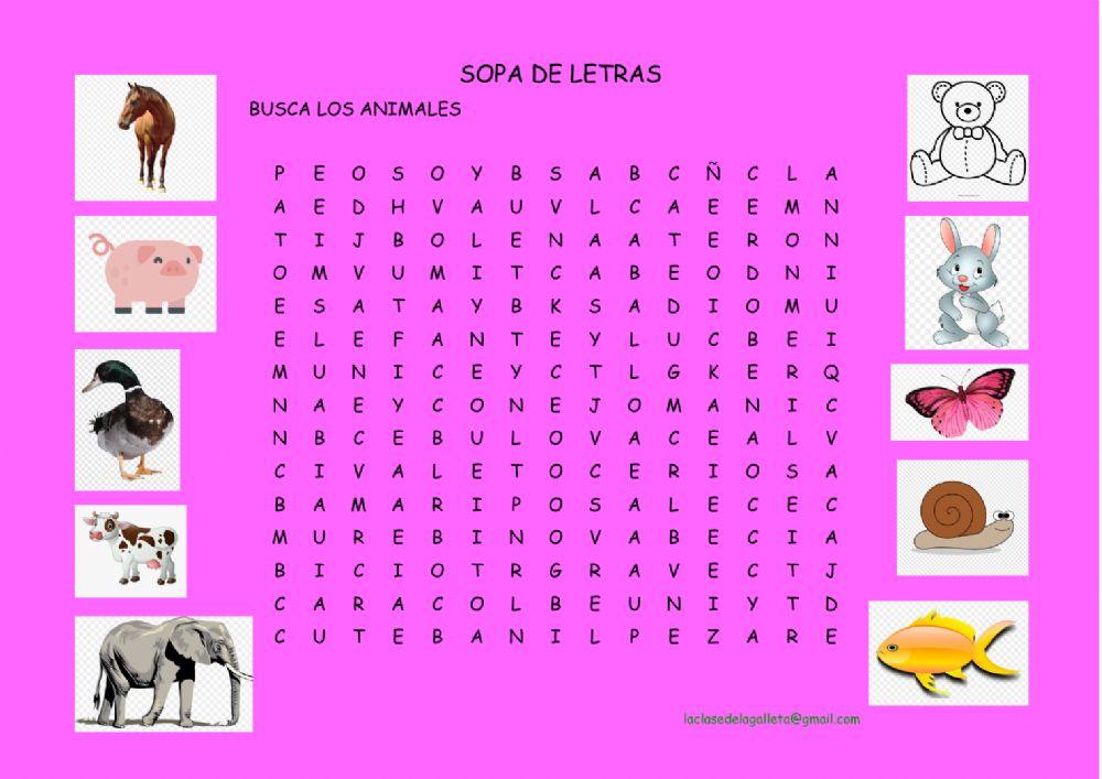 Sopa de letras