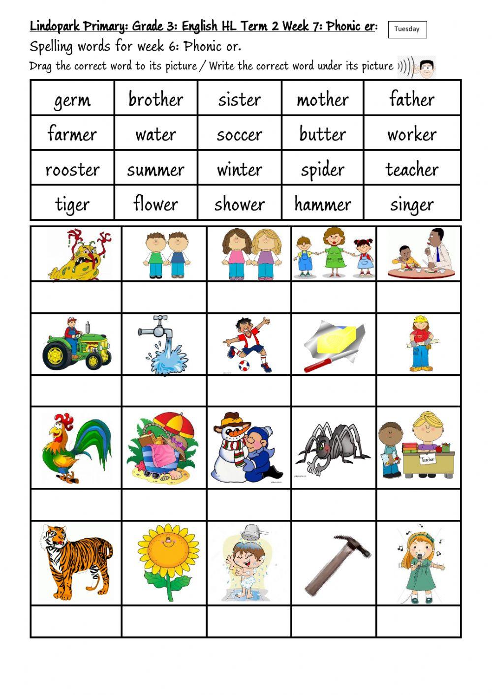 Grade 3 Term 2 Week 7 English Phonic er Tuesday
