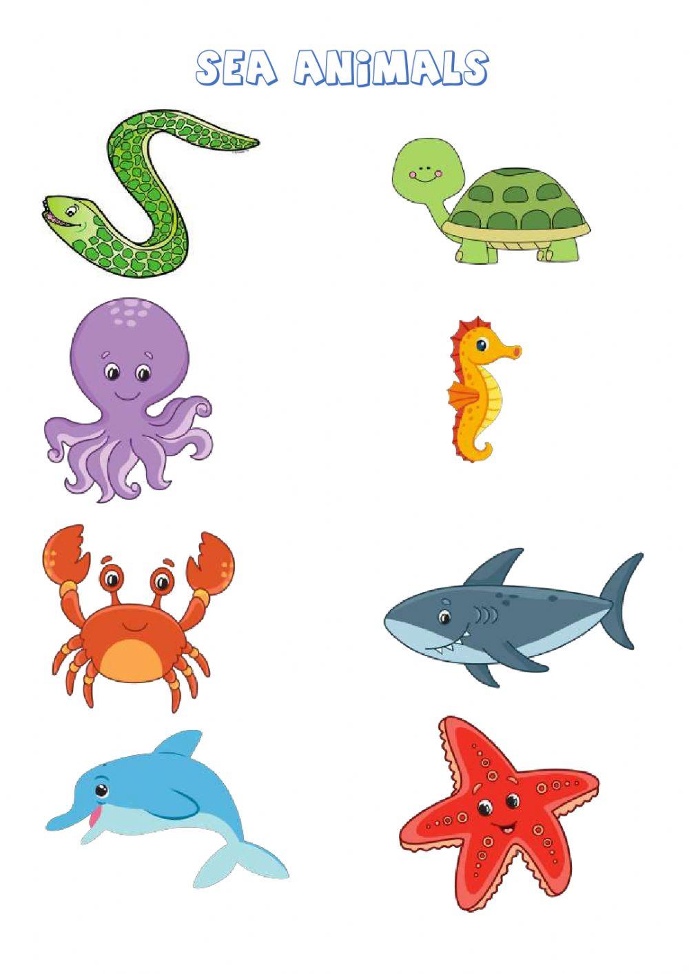 Sea animals wordsearch