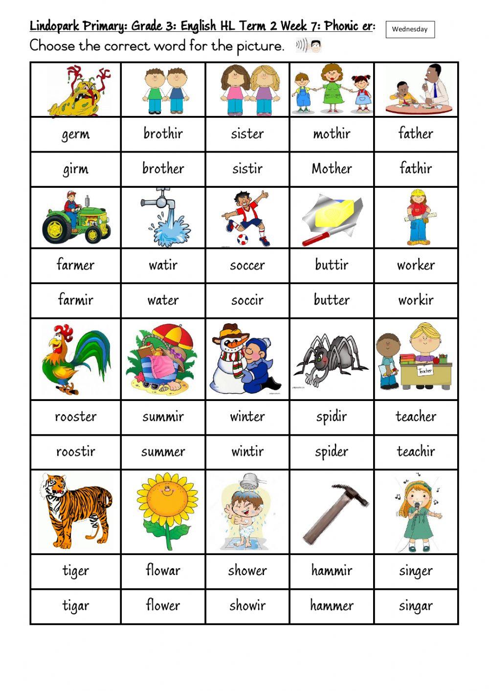 Grade 3 Term 2 Week 7 English Phonic er Wedneday