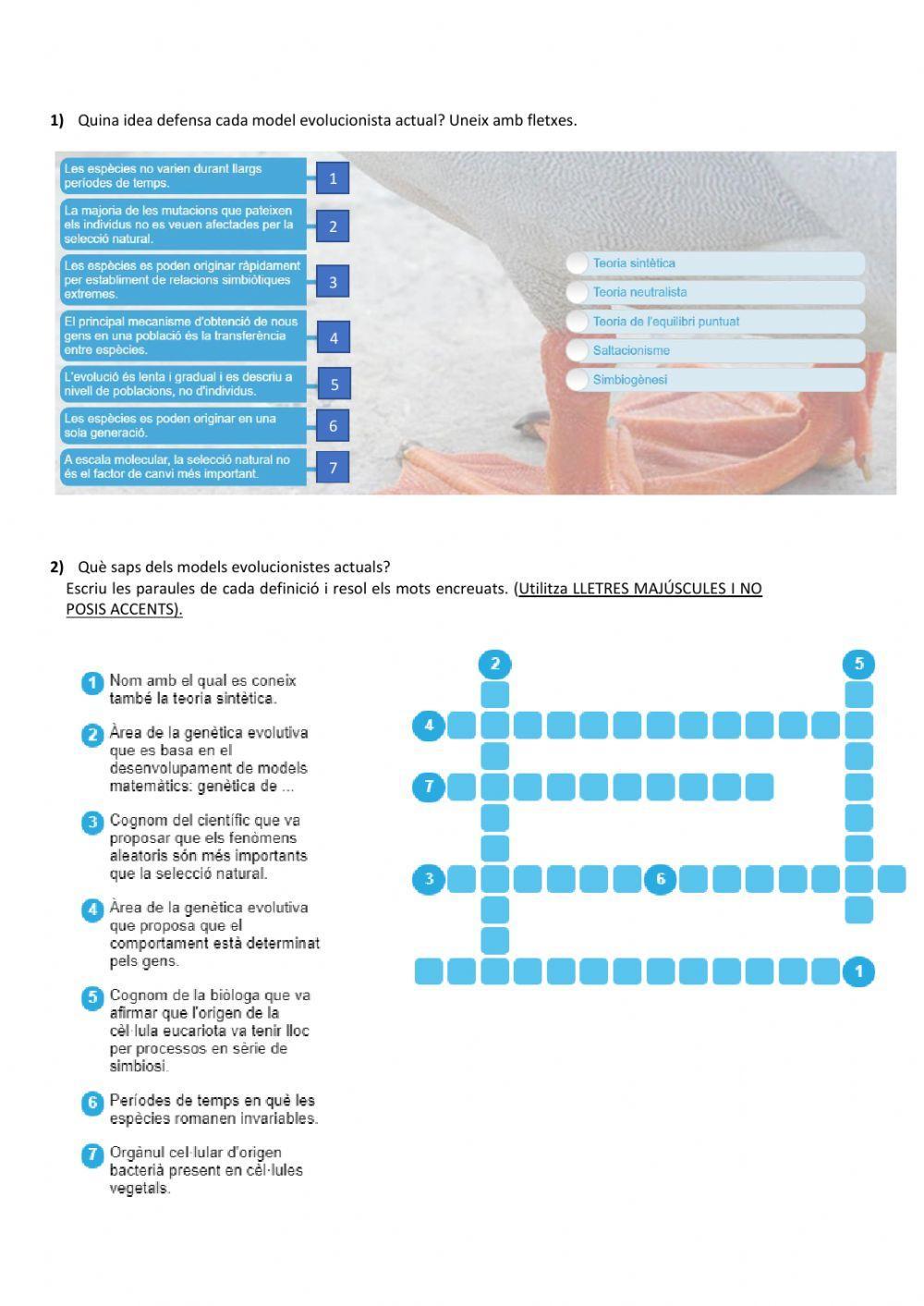 Evolució: models evolucionistes actuals, hominització i evolució humana