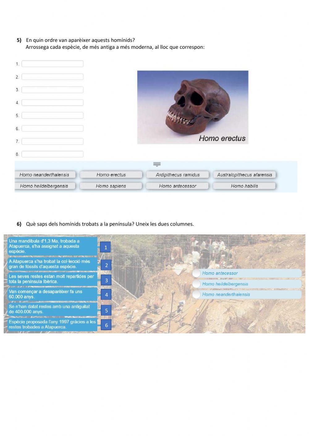 Evolució: models evolucionistes actuals, hominització i evolució humana
