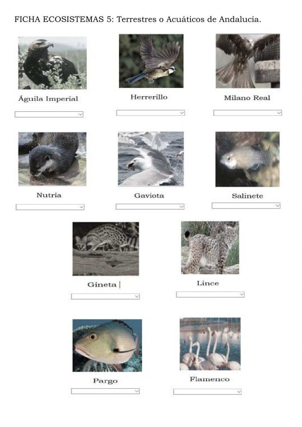 Animales de Andalucía