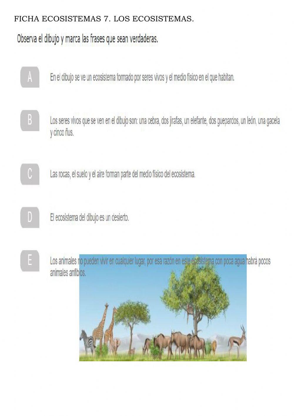 Los ecosistemas