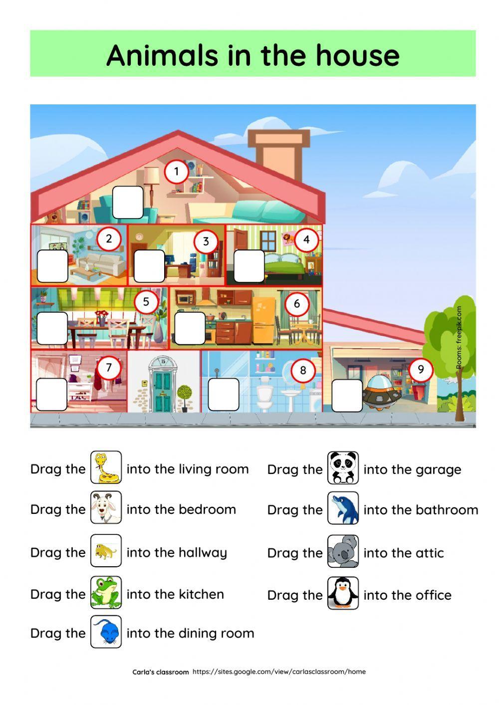 Animals in the house