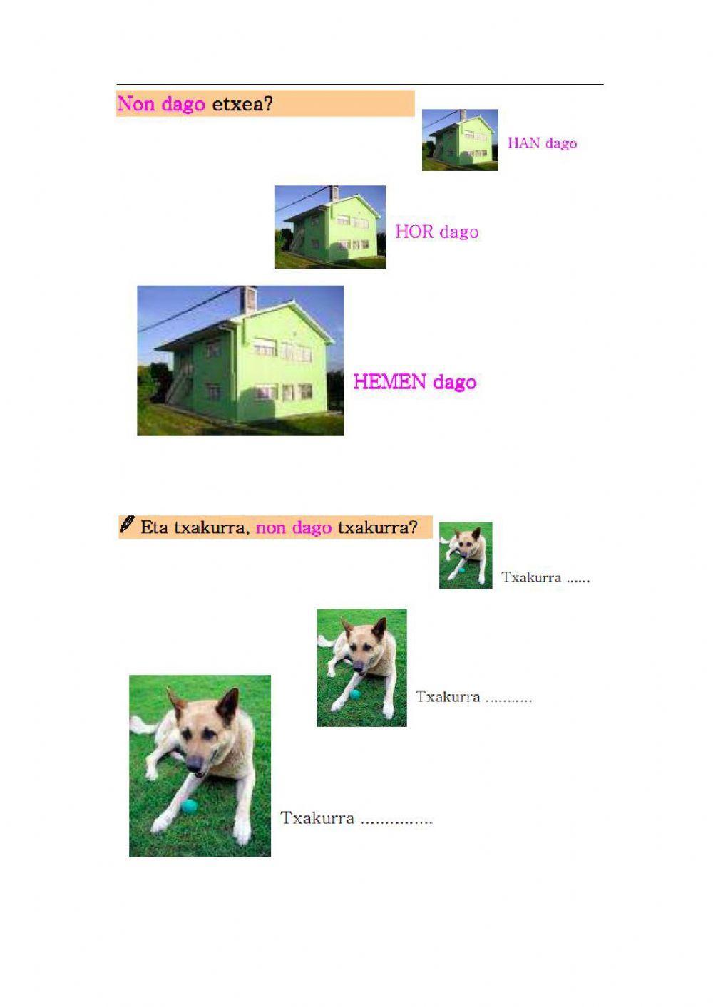 Hiztegia - Non dago?