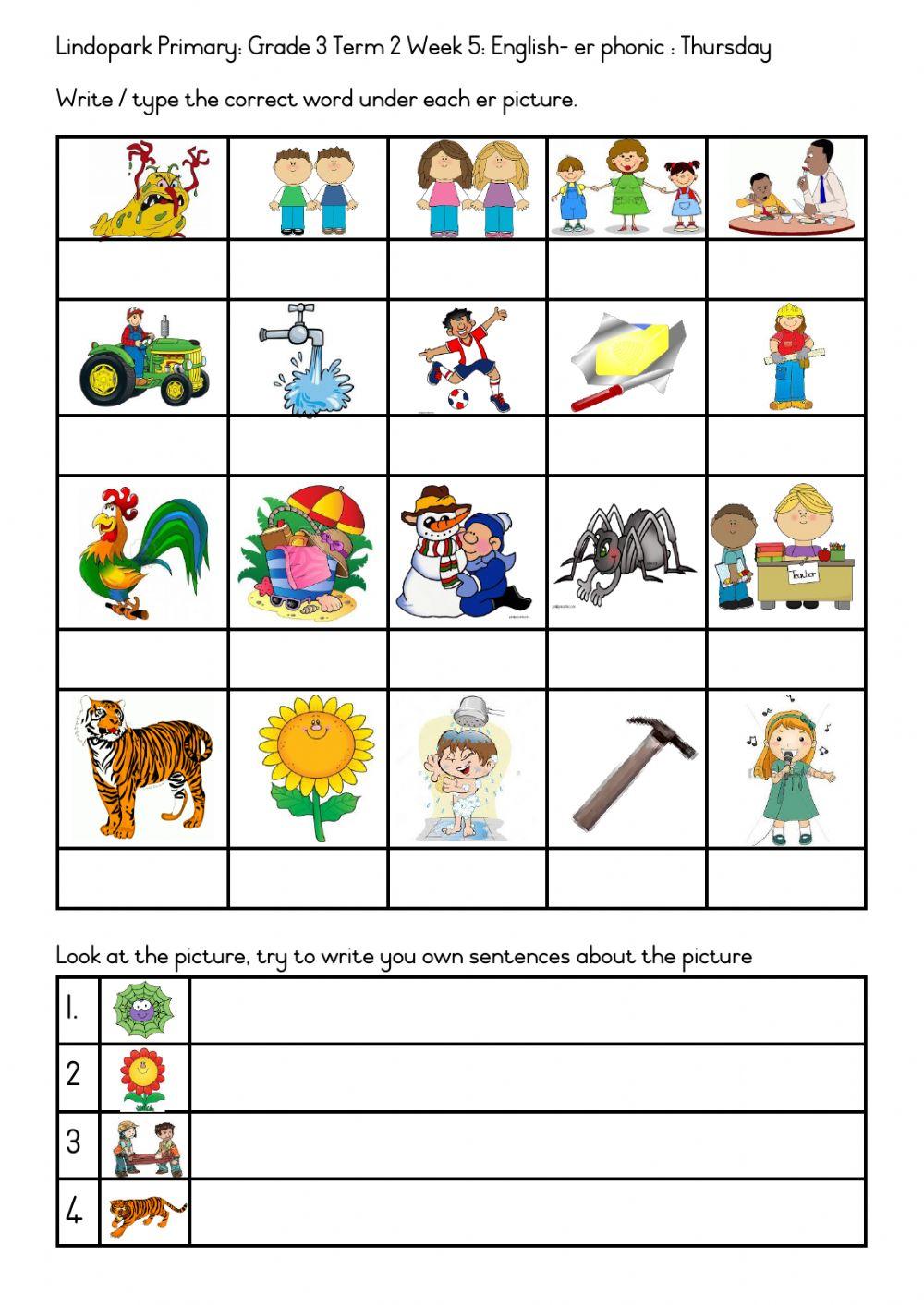 Grade 3 Term 2 Week 7 English er phonic and homophones: Thursday