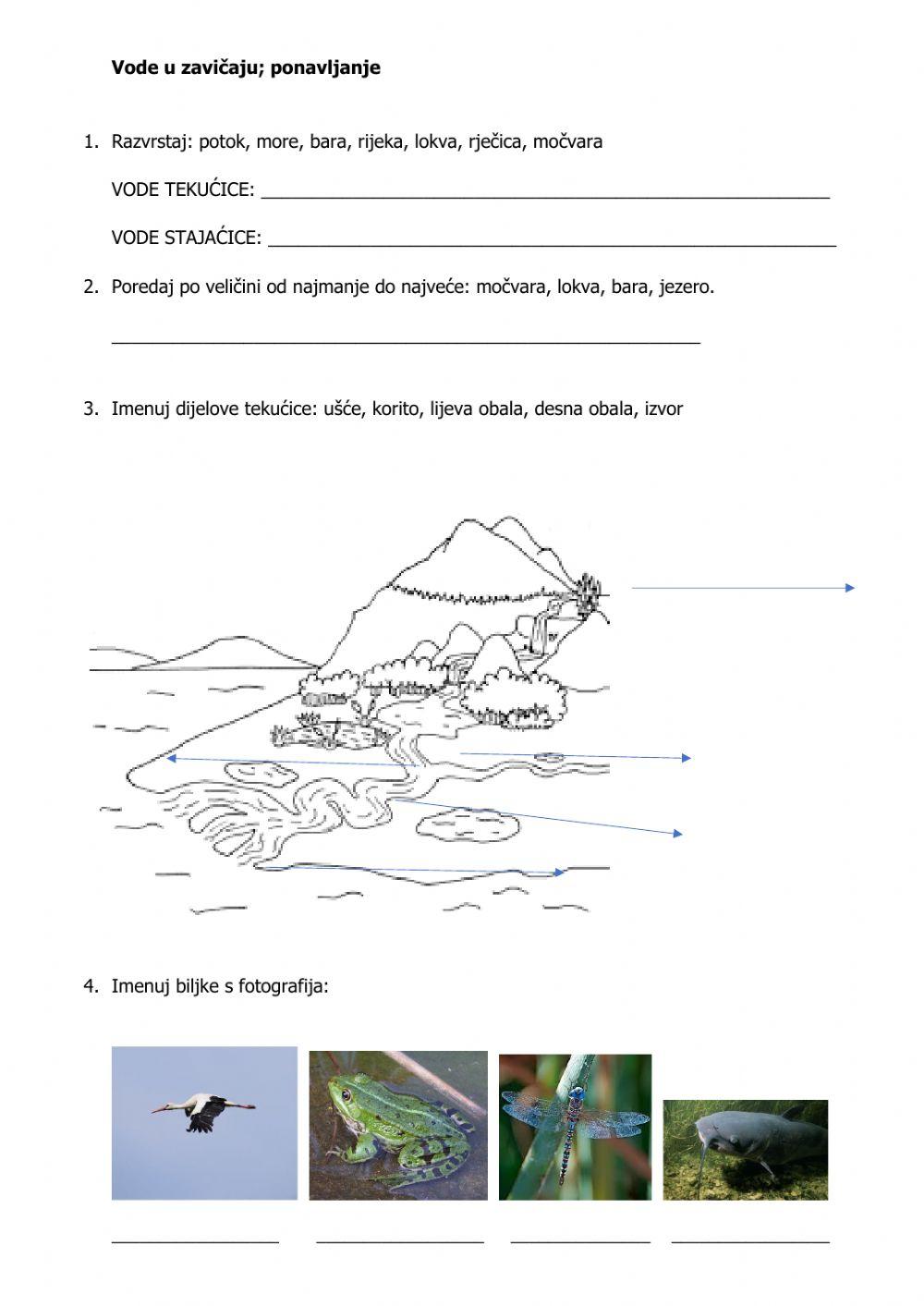 Vode u zavičaju, ponavljanje