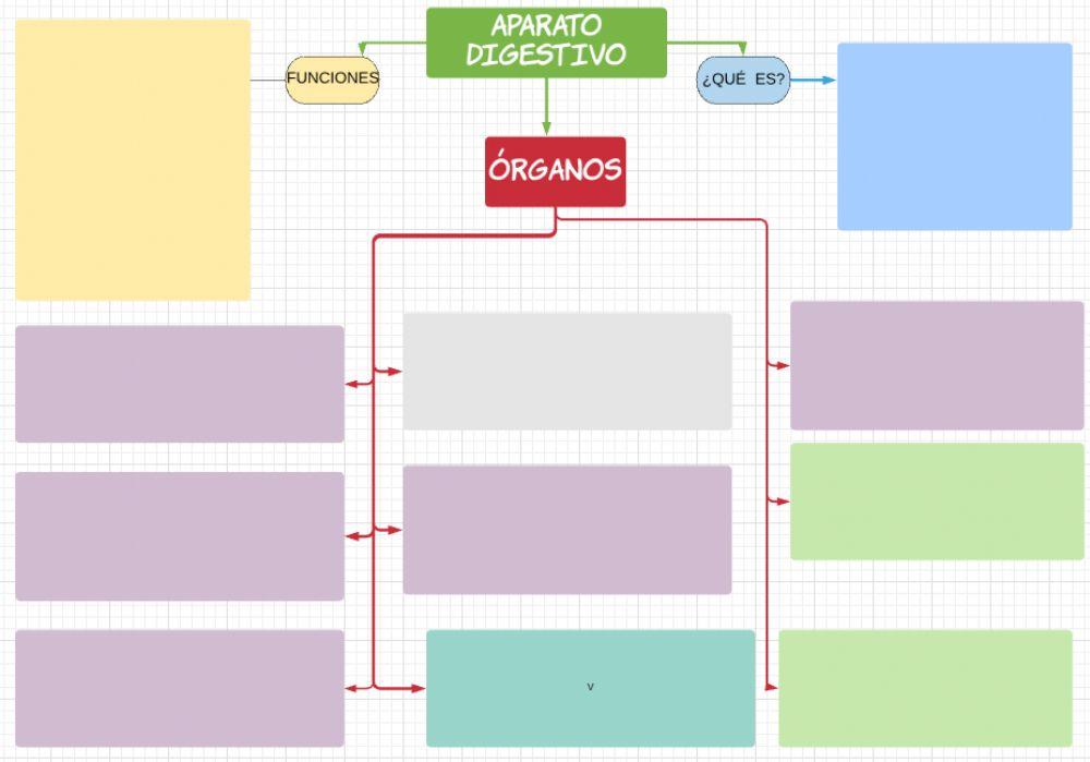 Esquema aparato digestivo Esquema aparato digestivo