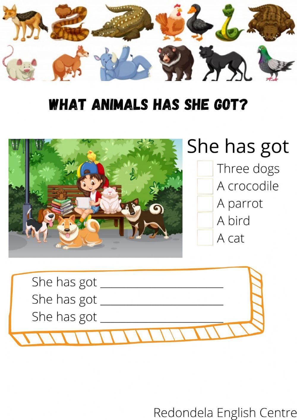 What animals has she got?