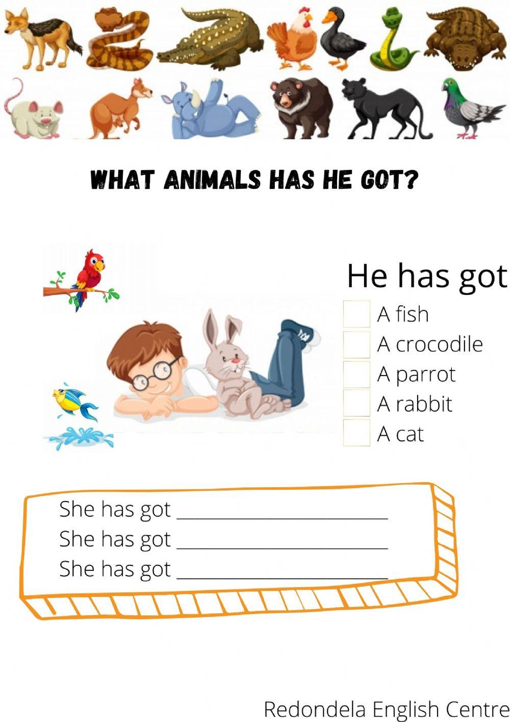 What animals has he got?