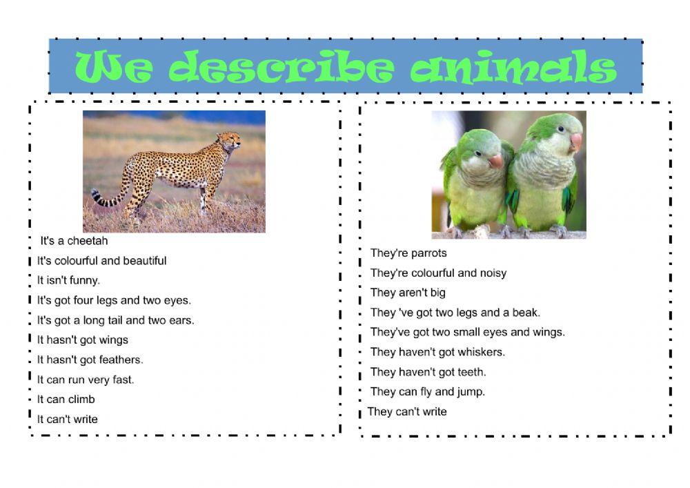 We describe animals