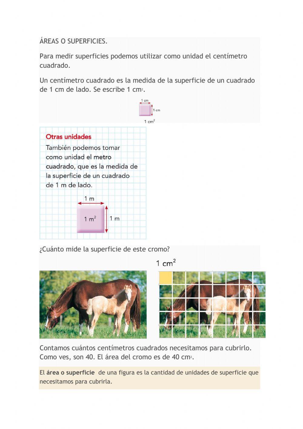 Áreas de figuras planas