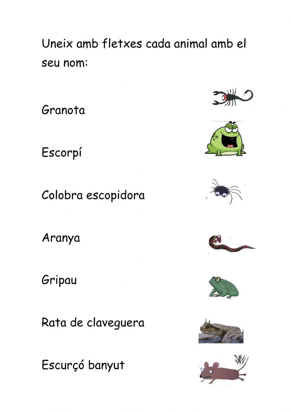 Vocabulari en valencià