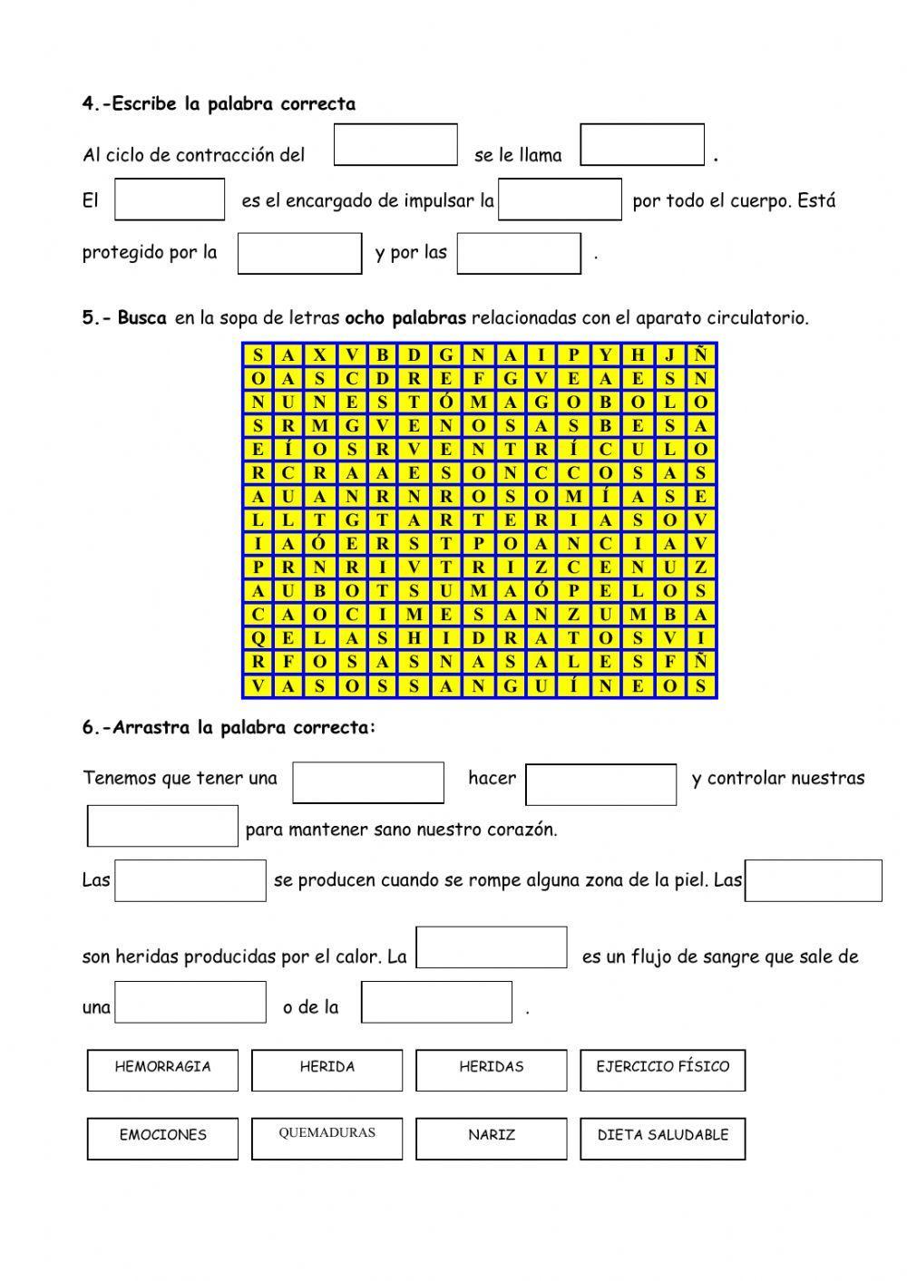 El aparato circulatorio
