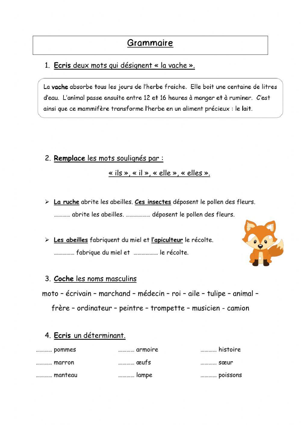 Révisions grammaire