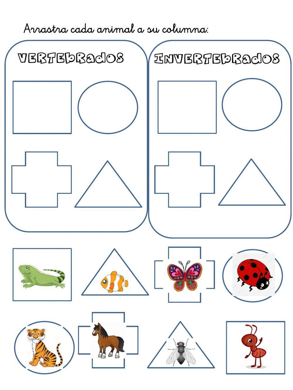 Vertebrados invertebrados