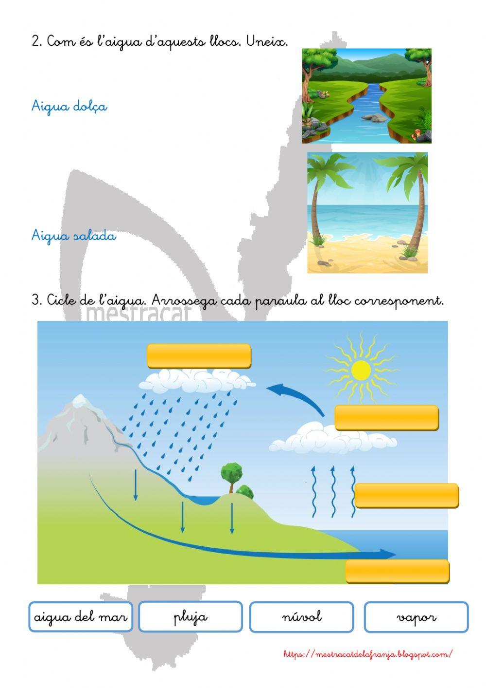 L'aigua a la natura i el cicle de l'aigua