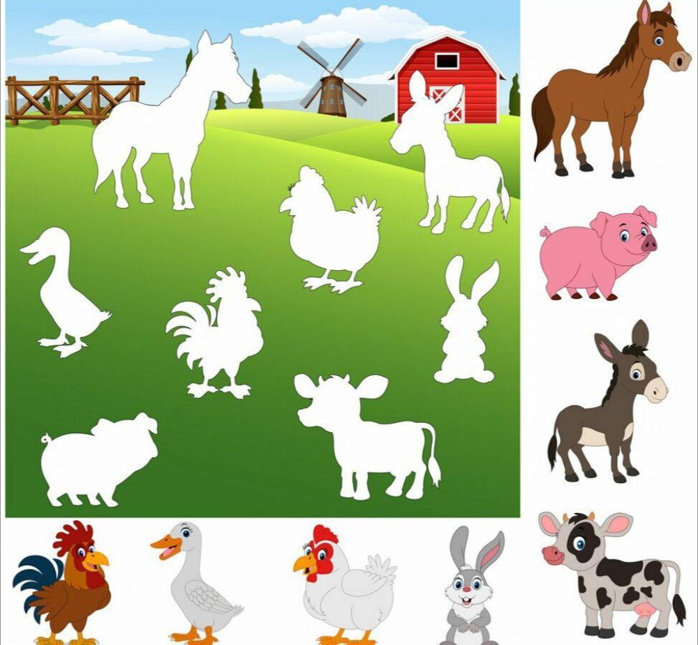 Νηπιαγωγειο διαδραστικες δραστηριοτητες για τα κατοικιδια ζωα