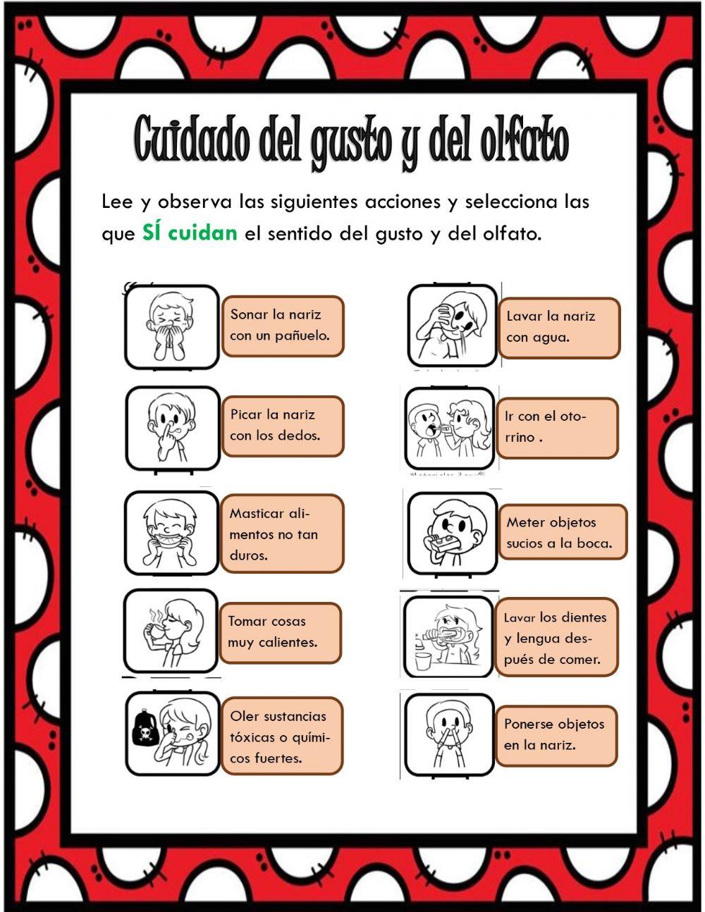 Cuidados del olfato y oído.