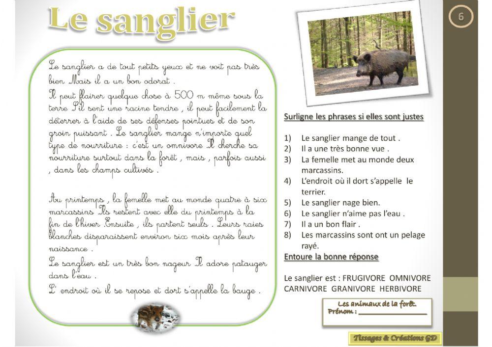Lecture - Le sanglier Lecture - Le sanglier